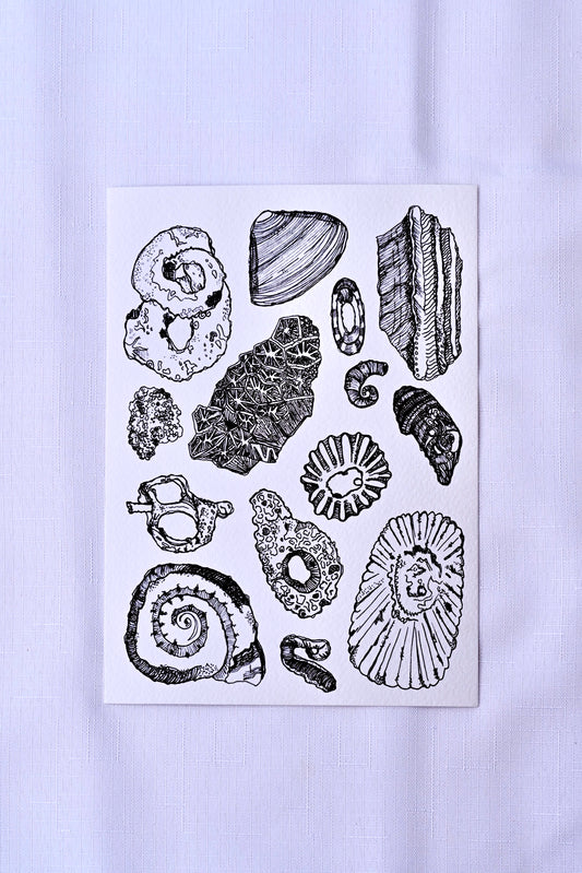 She Sells Sea Shells - A5 Art Print