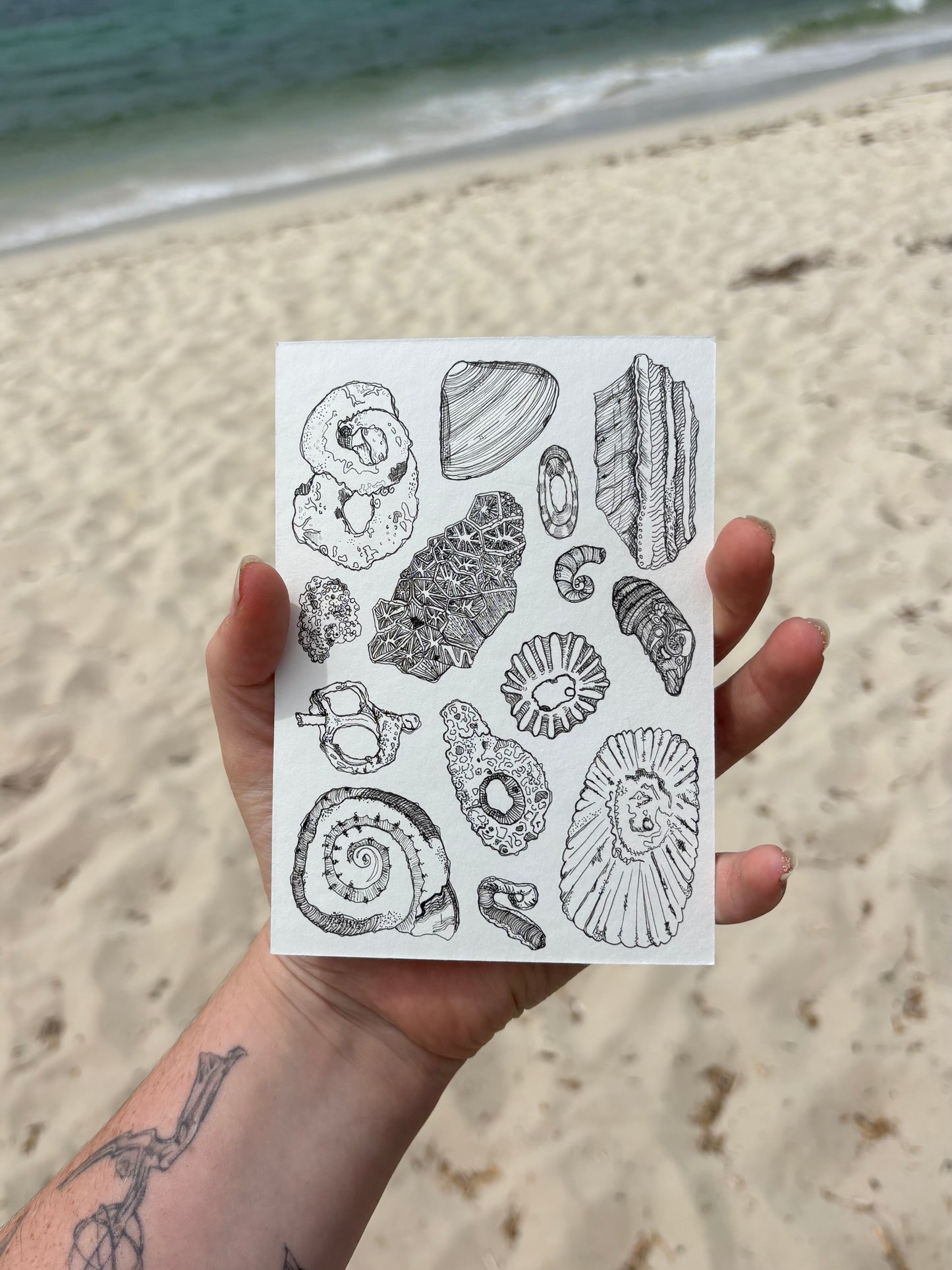 She Sells Sea Shells - A5 Art Print